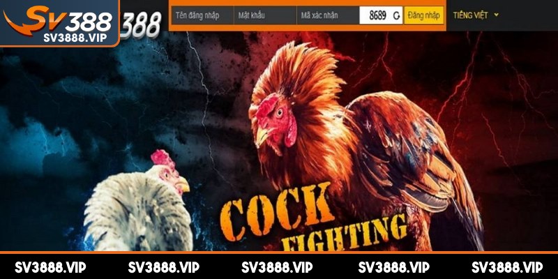 Tuân thủ một số điều kiện trước khi thực thao tác đăng ký tài khoản