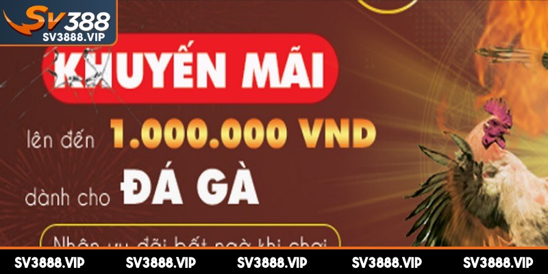 Nắm vững các điều kiện trước khi tham gia các chương trình ưu đãi tại SV388